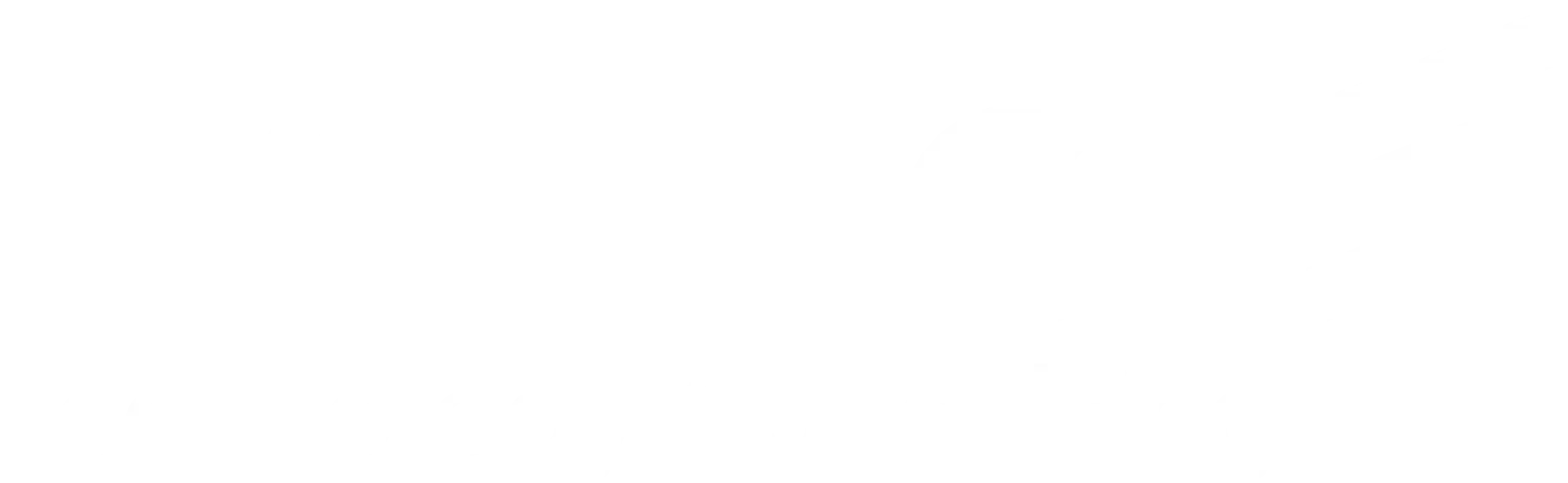 FYNTech Technology Consulting