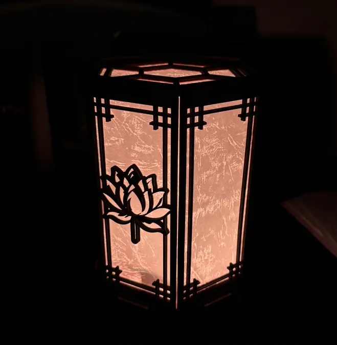 Programmierbare Lotuslampe – Detailansicht 3