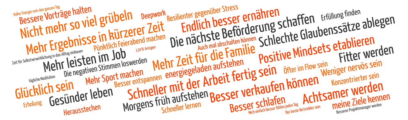 Life Performance Ziele